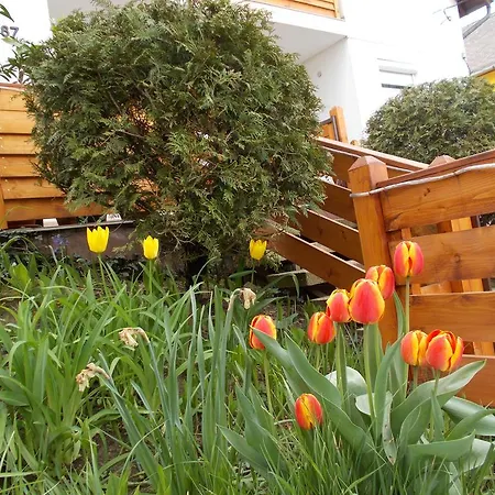 Maison d'hôtes Nimrod Pihenohaz Egerszalók